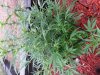 20130913_094303.jpg