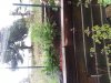 20130913_094317.jpg