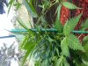 20130914_095205.jpg