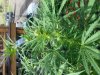 20130914_095232.jpg