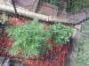 20130914_095243.jpg
