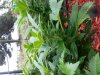 20130915_140836.jpg