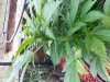 20130915_140901.jpg