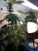 2012-10-07 20.33.59.jpg