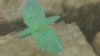 133_1859.jpg 133_1859.jpg