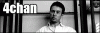 249.gif