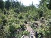 DSCF9160.jpg