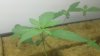 133_1863.jpg