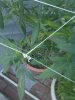 IMG-20130917-00147.jpg