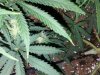 20130921_085401.jpg