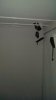 IMAG0475.jpg