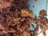 20130922_065857.jpg