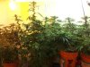 20130918_203702.jpg 20130918_203702.jpg