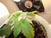 DSC01540.jpg