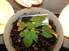 DSC01542.jpg