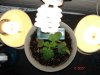 DSC01543.jpg