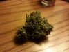 Budshots... dry gram.jpg