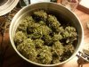 buds curing in jar..jpg