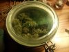 Buds curing closedd..jpg