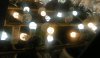 DSCN0776.jpg