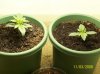 100_1483.jpg