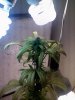 1102081634a.jpg