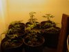 DSC00680.jpg