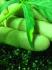 Kushberry_leaf_2_09232013.jpg