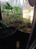 IMG_0895.jpg