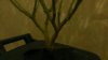 WP_20130924_011.jpg