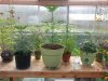 20130803_091513.jpg