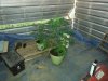 20130809_195030.jpg