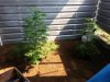 20130828_135921.jpg