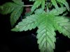 20130924_175324.jpg