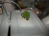 100_0117.jpg