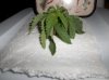 100_0119.jpg