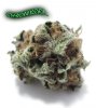 Pineapple-Express.jpg