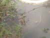 IMG_20130927_164743.jpg