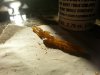 shatter.jpg