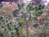 9-27-13 003.jpg