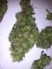 IMG_20130929_035134.jpg