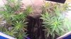 20130928_175931.jpg