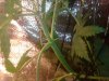 2013-09-29 19.23.56.jpg