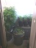 IMG_20130930_164807.jpg