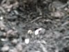 DSCF0608.jpg