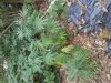 20131002_145619.jpg