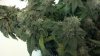 2013-10-02_16-34-28_432.jpg