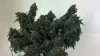 2013-10-02_16-35-05_168.jpg