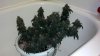 2013-10-02_16-36-25_41.jpg