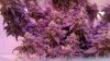 2013-10-01_14-34-18_702.jpg